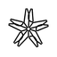 stDINDEX